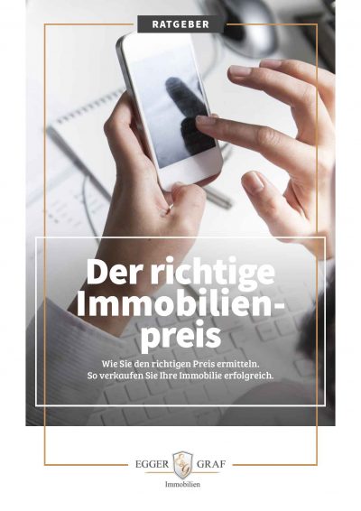 ratgeber-immobilie-erfolgreich-verkaufen